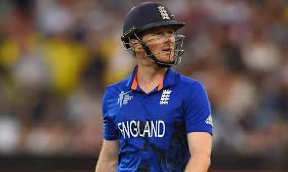 Eoin Morgan – 347 runs